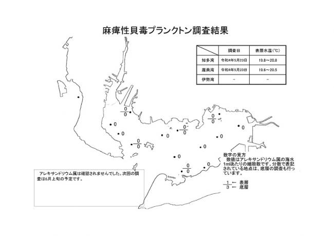 麻痺性貝毒プランクトン調査結果20220523