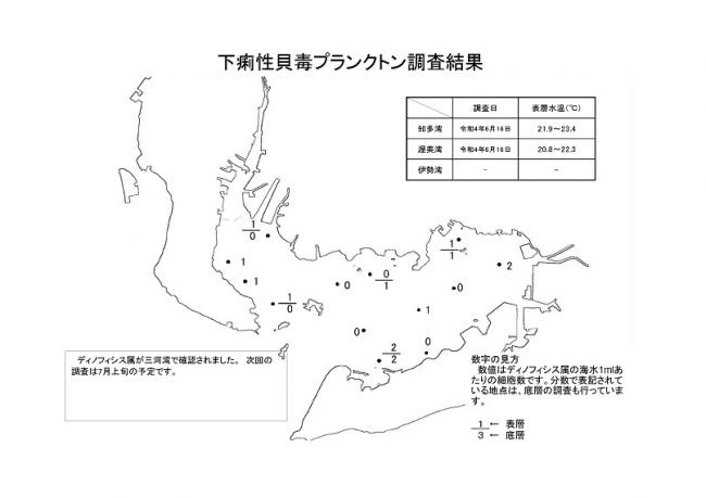 下痢性貝毒プランクトン調査結果20220616