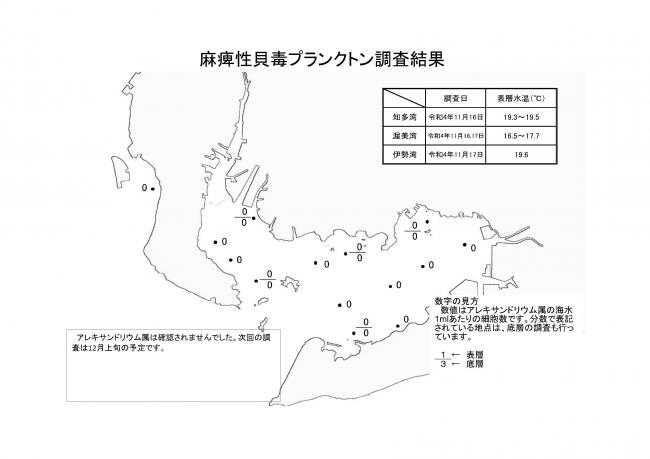 麻痺性貝毒プランクトン調査結果20221116