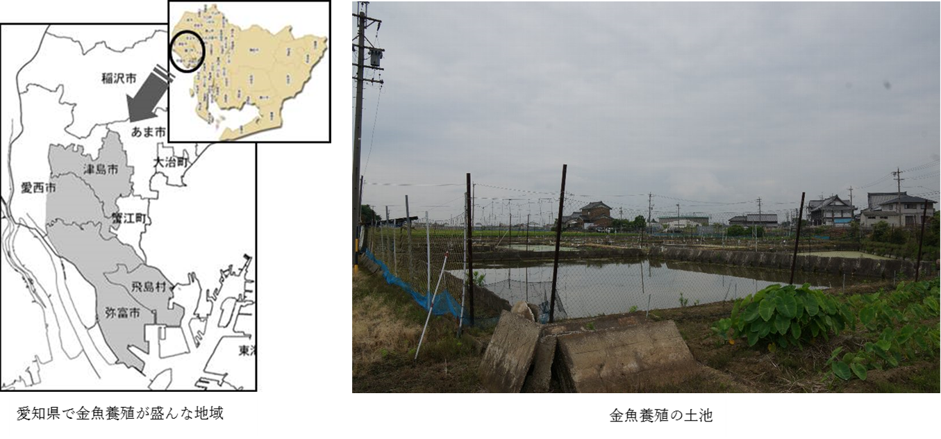 地域 土池