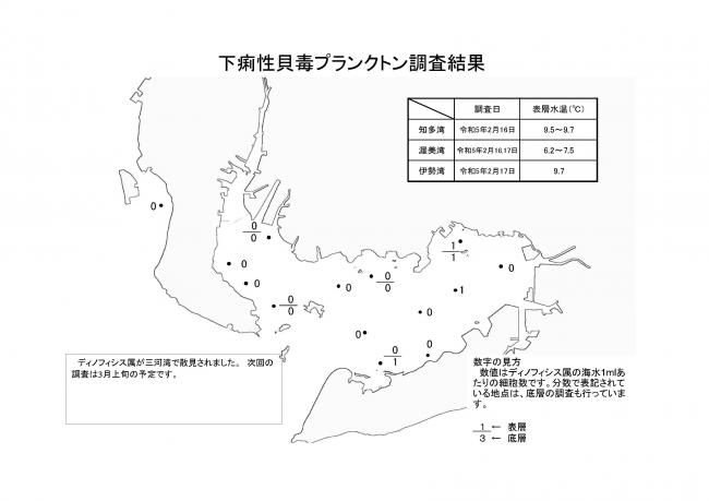 下痢性貝毒プランクトン調査結果20230216