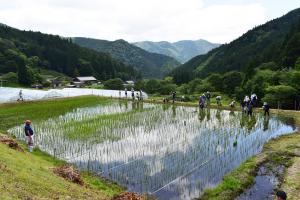 田んぼオーナー