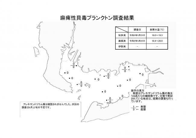 麻痺性貝毒プランクトン調査結果20230525