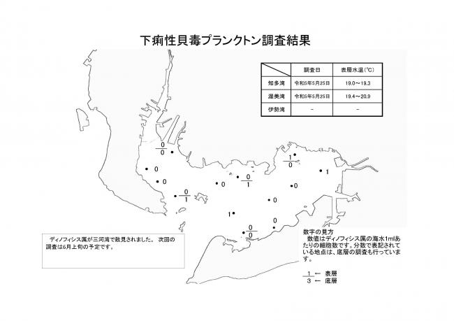 下痢性貝毒プランクトン調査結果20230525