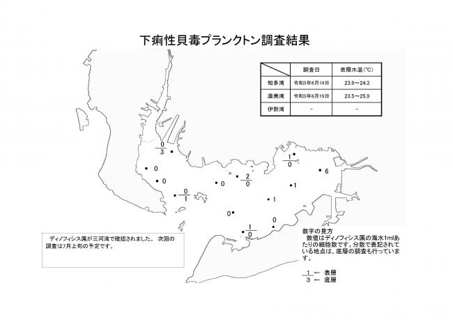 下痢性貝毒プランクトン調査結果20230619