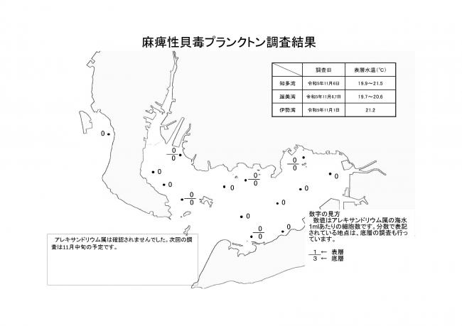 麻痺性貝毒プランクトン調査結果20231101