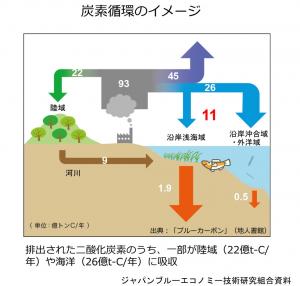 炭素循環のイメージ