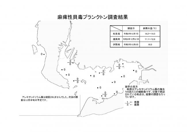 麻痺性貝毒プランクトン調査結果20231206