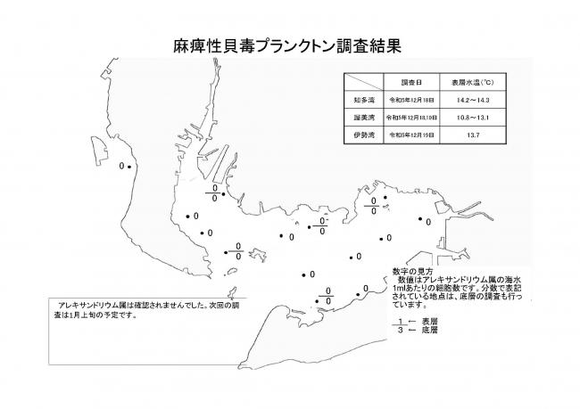 麻痺性貝毒プランクトン調査結果20231218