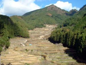 四谷千枚田