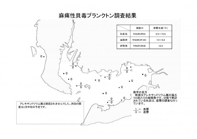 麻痺性貝毒プランクトン調査結果20240205