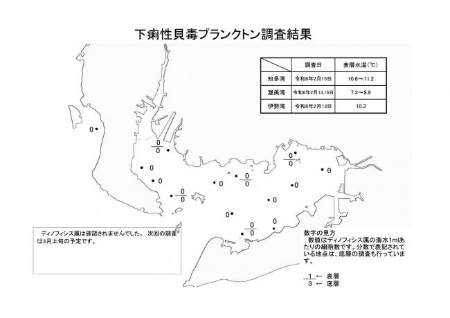 下痢性貝毒プランクトン調査結果20240213