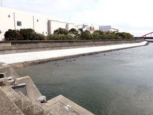 蒲郡海岸　鹿島地区（蒲郡市）※完了