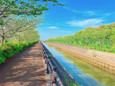 新緑映える須ケ谷川排水路