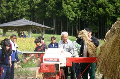 四谷千枚田天日干し米の脱穀作業