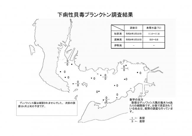 麻痺性貝毒プランクトン調査結果20240322