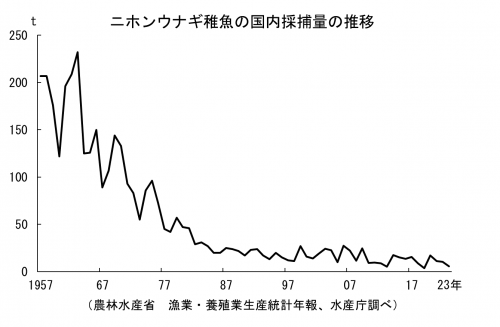 シラスウナギ採捕量推移