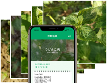 これまでの主な取組2