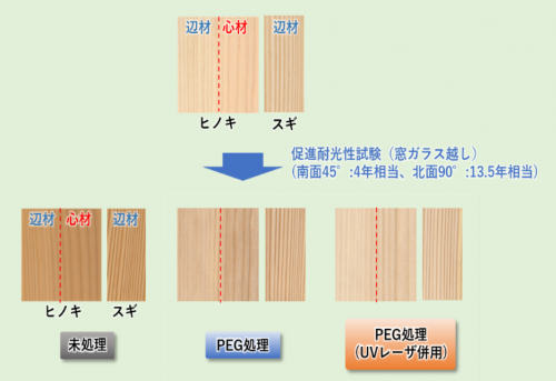 促進耐光性試験前後における塗装木材の外観