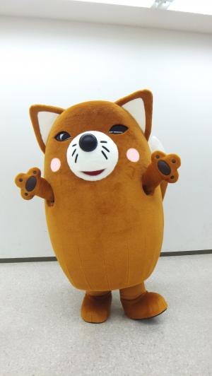 いなりん