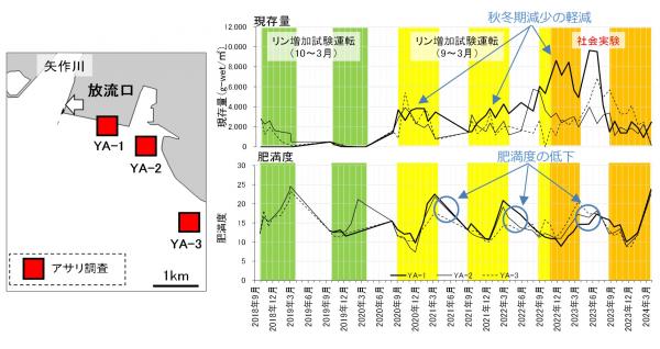 アサリの現存量調査結果