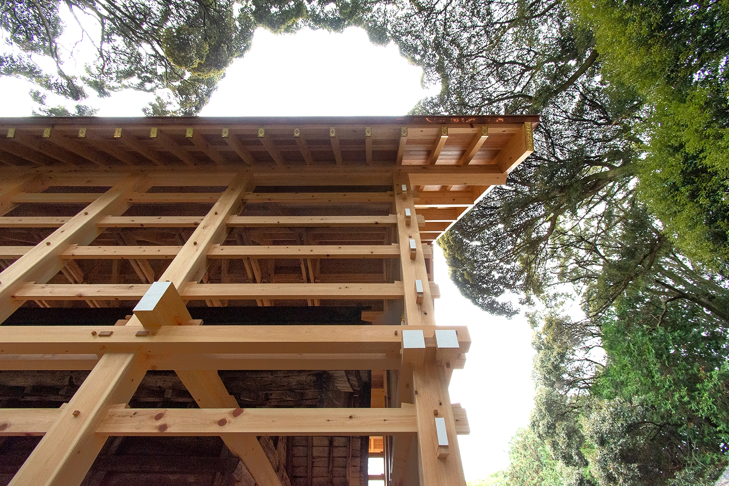 星野神社　覆殿　外観