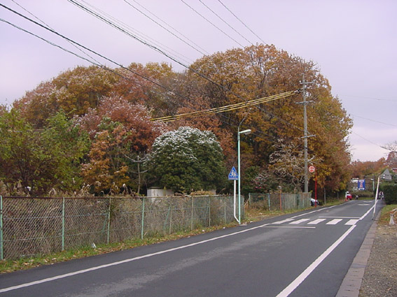 白鳥塚古墳