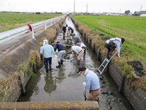 多面（水路の泥上げ）