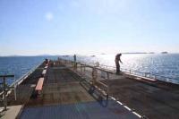 【一色町】魚つり広場1（佐久島）