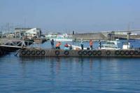 【一色町】魚つり渡船