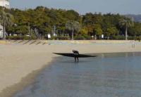 【吉良町】シーカヤック（宮崎海岸）