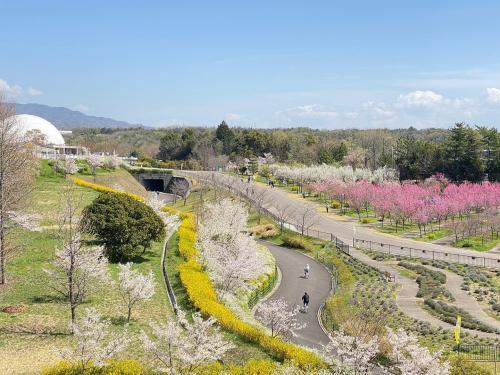 愛・地球博記念公園　花の広場