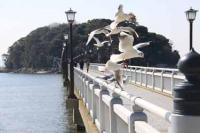 【蒲郡市】カモメの舞2（竹島桟橋）1