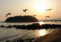 【蒲郡市】竹島の夕日1