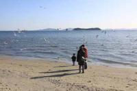 【蒲郡市】竹島海岸を散歩