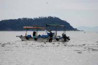 【蒲郡市】アサリ漁の風景1