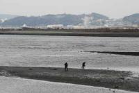 【豊橋市】豊川河口の風景2