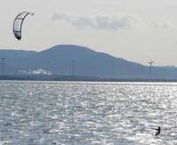 【豊橋市】カイトサーフィン2（豊川河口）