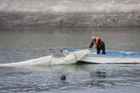 【豊川市】網を仕掛ける漁師3（御津新田付近）