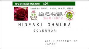 知事名刺裏面（ばら）