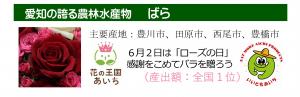 R７名刺（ばら）