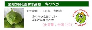 R7名刺（キャベツ）