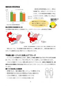 配布用3