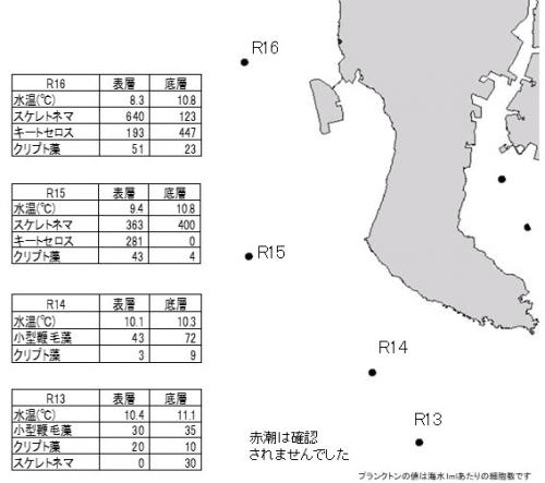伊勢湾赤潮情報