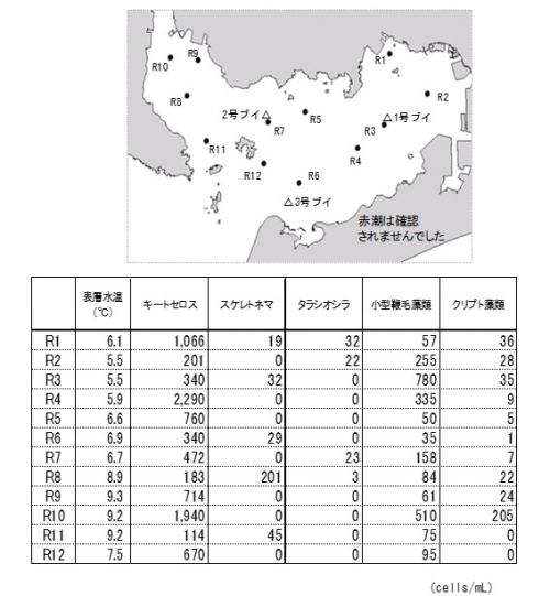 三河湾赤潮情報