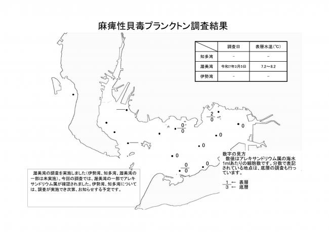 麻痺性貝毒プランクトン調査結果20250305