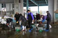 【幡豆町】アサリの計量作業（東幡豆漁港）