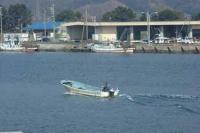 【幡豆町】幡豆漁港の漁師2