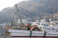 【幡豆町】幡豆漁港の漁師4