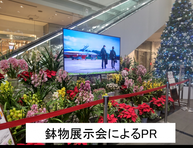 鉢物展示会の様子